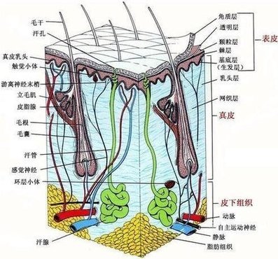 人民网健康频道