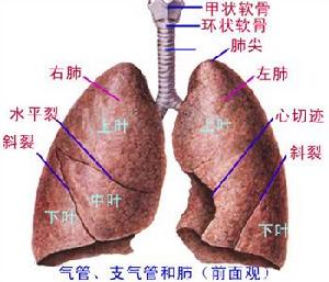 人民网健康频道