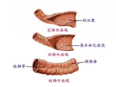 口水的8大养生功效知道吗 抗癌居首