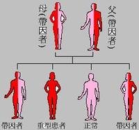 基因缺陷决定患病率？400个基因缺陷意味啥