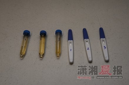 网传验孕棒能测睾丸癌专家称可能性只有10%（图）