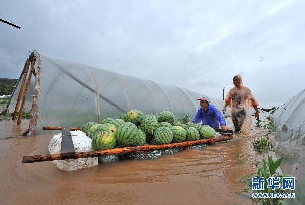 #（生态）（8）浙江入梅普降大雨