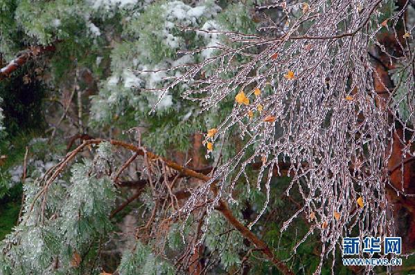 （国际）（1）白俄罗斯迎来今冬首场降雪