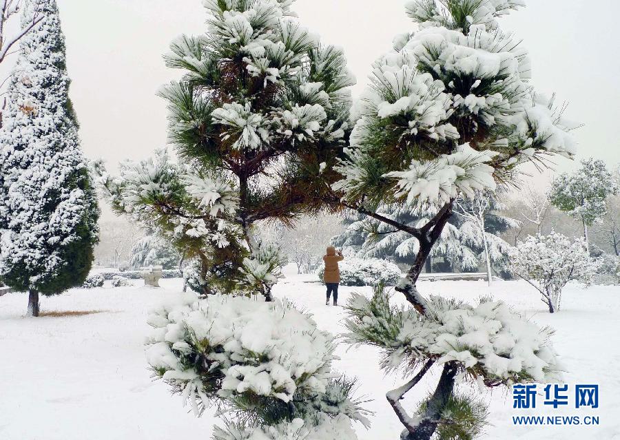 #（社会）（5）山东再迎强降雪 