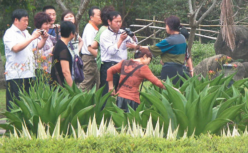 “水往上流”植物园